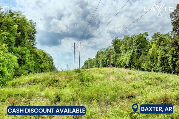Own 0.26 Acres in Baxter County, AR in Just 42 Months!