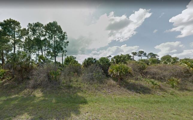 Live the Dream in Florida on this 0.23 acre property