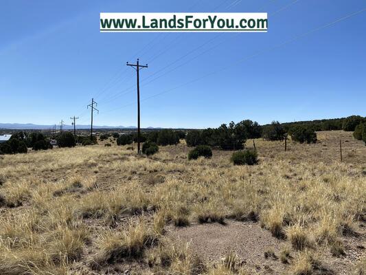 Tranquil Hideaway Nestled on Alpine Lane in Apache County!