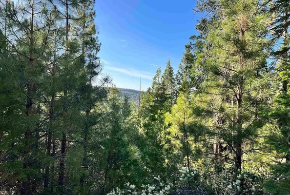 5 Acre California Land is calling out to You! $100/Month!