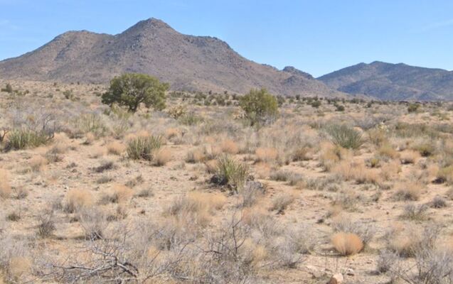 10 Acres Of Unmatched Value In Arizona! Only $350/Mo