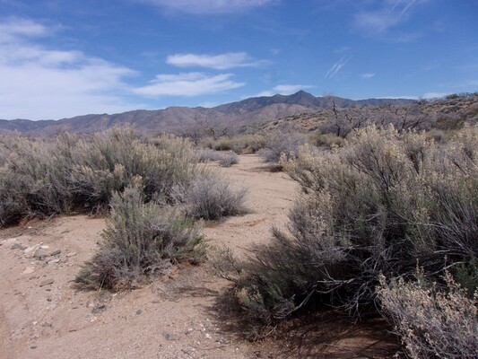 Live the historic & scenic life! 1-acre lot in Chloride, AZ!
