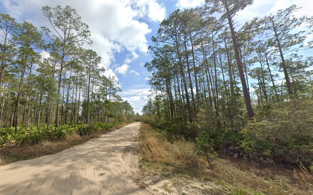Invest in Land Today! .22 Acres Available in Interlachen, FL