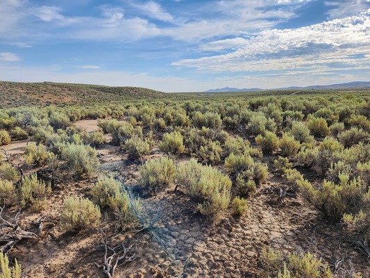 Adventure is Here in Elko, NV 1.14 acre for just $100/month!