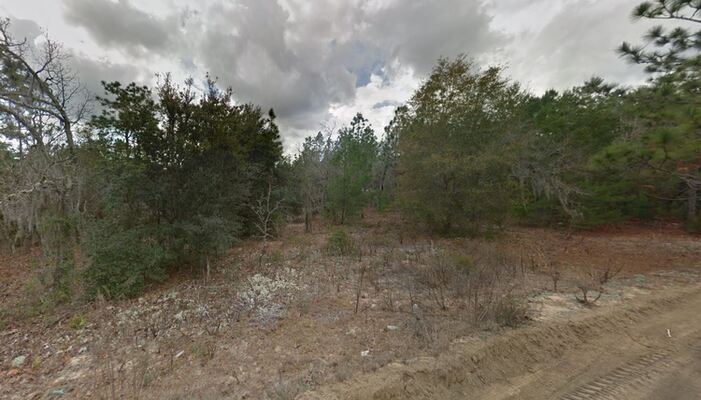 Invest Today! 0.23 Acre is Waiting for You in Putnam, FL!