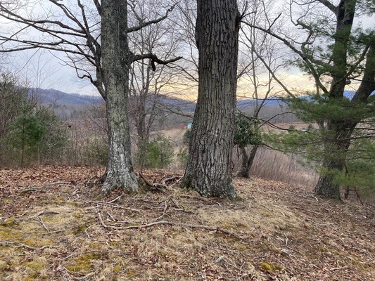 SOLD! Live Your Vision: 1.12 Ac, $419/Mo, Ashe County, NC!