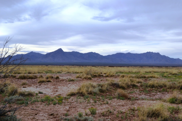 New Mexico, Luna County,  0.50 Acre, Sunshine Valley