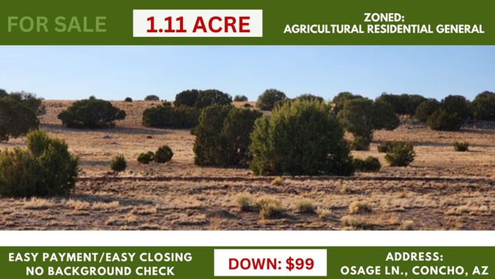 Calling RV Enthusiasts 1.11 acre AZ Property is Waiting!