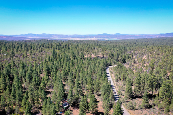 Hunt from your own backyard! This heavily treed, mountain property, backs to 15,000 acres of national forest lands.