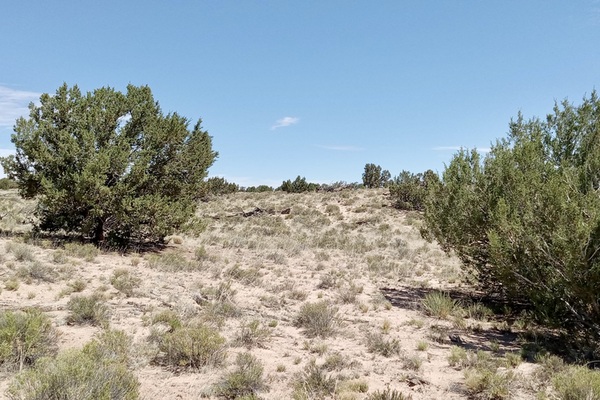 $210/mo, 5 Acres in Apache County, AZ, Close to BLM Land!