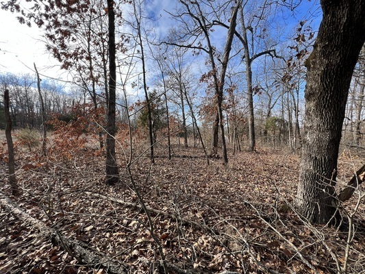 Enjoy the Ambiance on this  0.3 acres in AR only $75 monthly