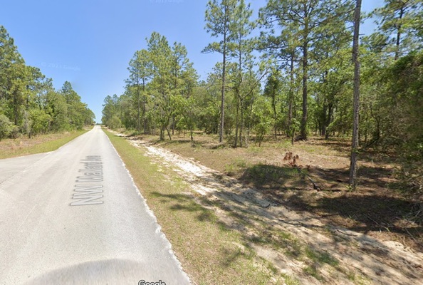 Live Boldly in Dunnellon: $246/Month for Your Perfect Plot!