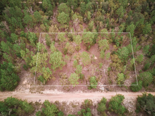 Gorgeous 0.72 Acre Lot in Clay County, FL!