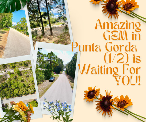Amazing GEM in Punta Gorda  (1/2) is Waiting For YOU!