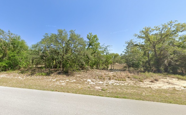 $299 Down: Claim Your Own Raw Vacant Land in Dunnellon!