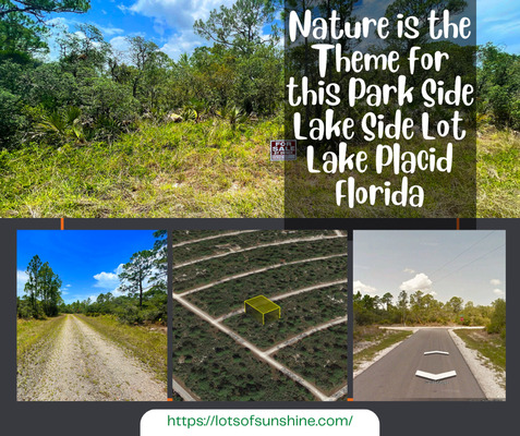 Nature is the Theme for this Park Side Lake Side Lot Lake Placid Florida