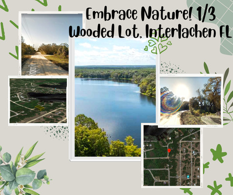 Embrace Nature! 1/3 Wooded Lot, Interlachen FL