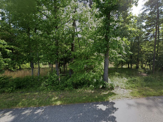 Your Dreams Become Reality on 0.95 Acres in South Carolina!