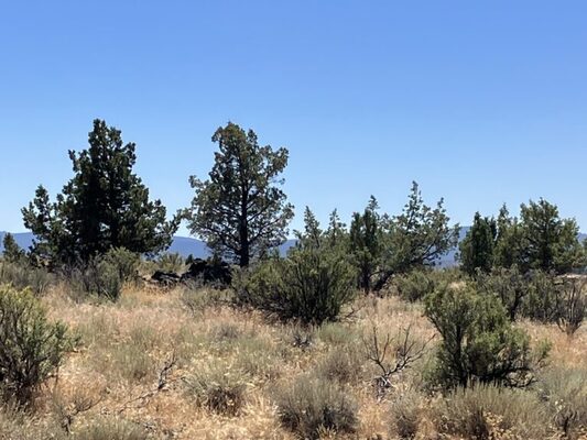 Escape to the Oregon high desert on this 1.54 acre parcel with access to the Freemont-Winema National Forest!