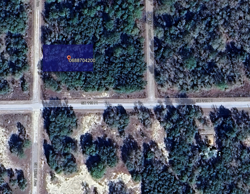 This Once in a Lifetime 0.25 Acres in Levy, FL