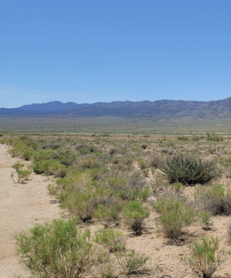 Create Your Dream Escape on This 1-Acre Corner Lot w/Electricity!