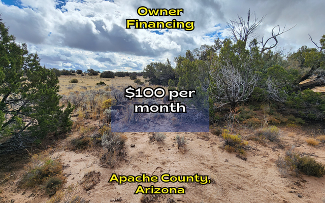 Investing in Apache Royalty <del>$110/mo</del> Now ONLY $100/month