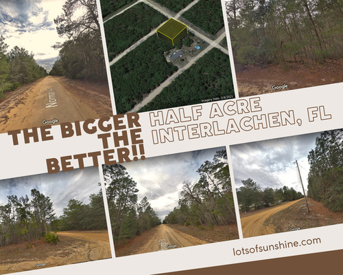 The bigger the better! Half Acre Interlachen, FL