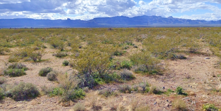 Welcome to the Serene Beauty of 2.35 Acres in Mohave