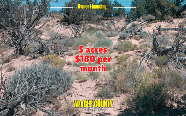Unlock the Potential of Apache County - 5 acres  at $180/mo!