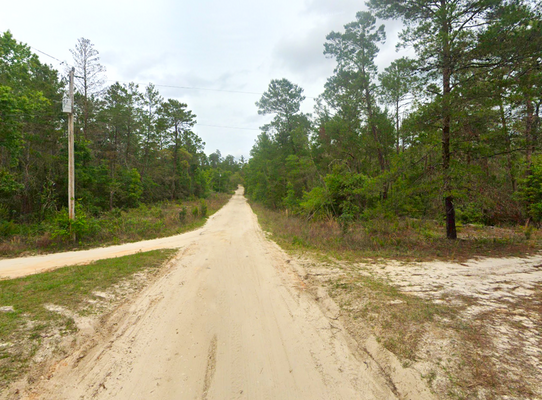 Beautiful, Private Lot for Your Perfect Home in Satsuma, FL!