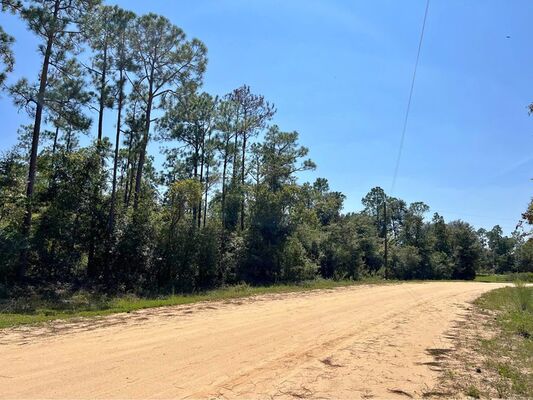 2 Acre Lot, Flat and Dry, Power On Road, Owner Financing!