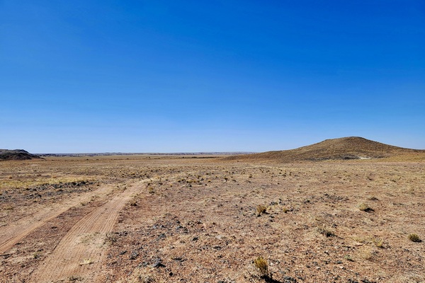 Your 1.25 Acre Escape to Recreational Fun - $75/mo in Navajo County, AZ
