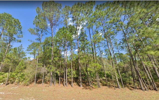 0.23 acre Beauty in Putnam County for a Fantastic Price