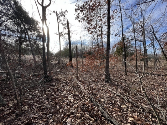 .30-acres to live your Adventure in Izard, AR For $75/MON