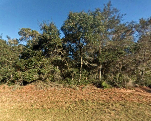 Spring to Life on .42 Acres in Marion, FL $277/Mo.