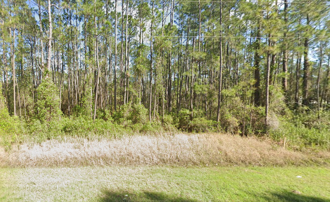 SOLD Acres in Putnam, FL, Where Beauty Meets Opportunity!