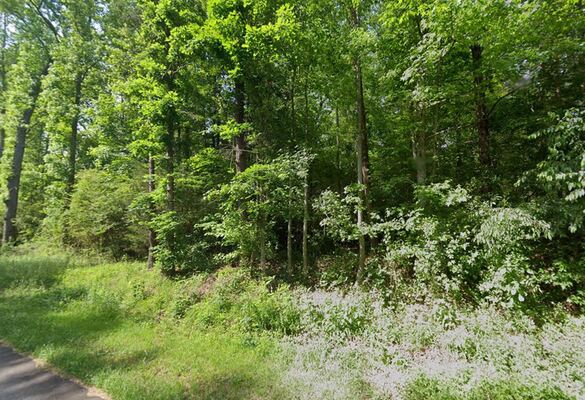 Live the Dream in Oconee, SC: 0.71 Acres, Low Down, Affordable Payments, and Endless Possibilities!