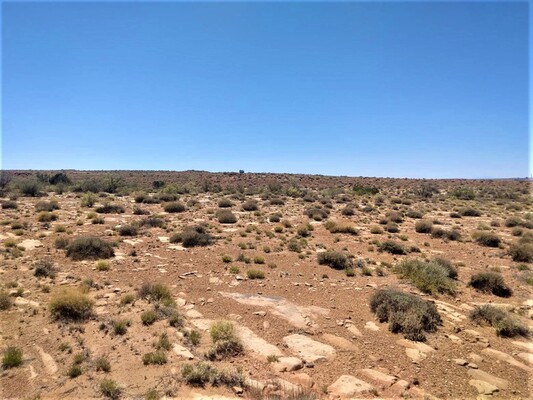 5 Acres in Apache County,AZ. Only $200 p/m
