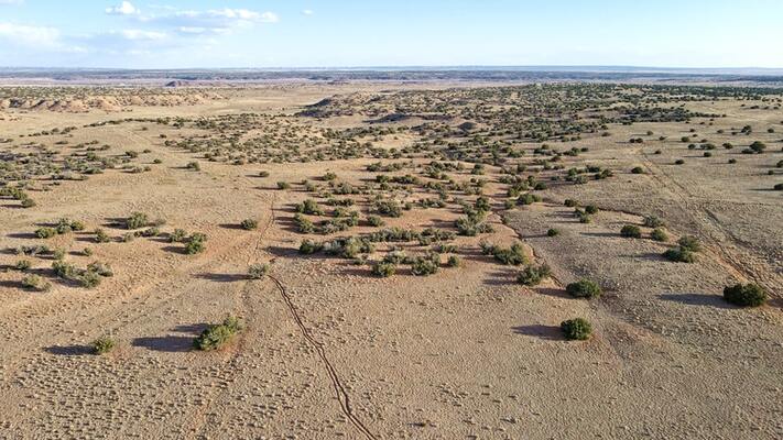 Live Your Apache Dream: 1 Acre in Arizona – Only $99/Month!