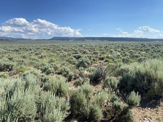 5.00 Acres to Seize the Moment in Costilla, CO. $175/MON