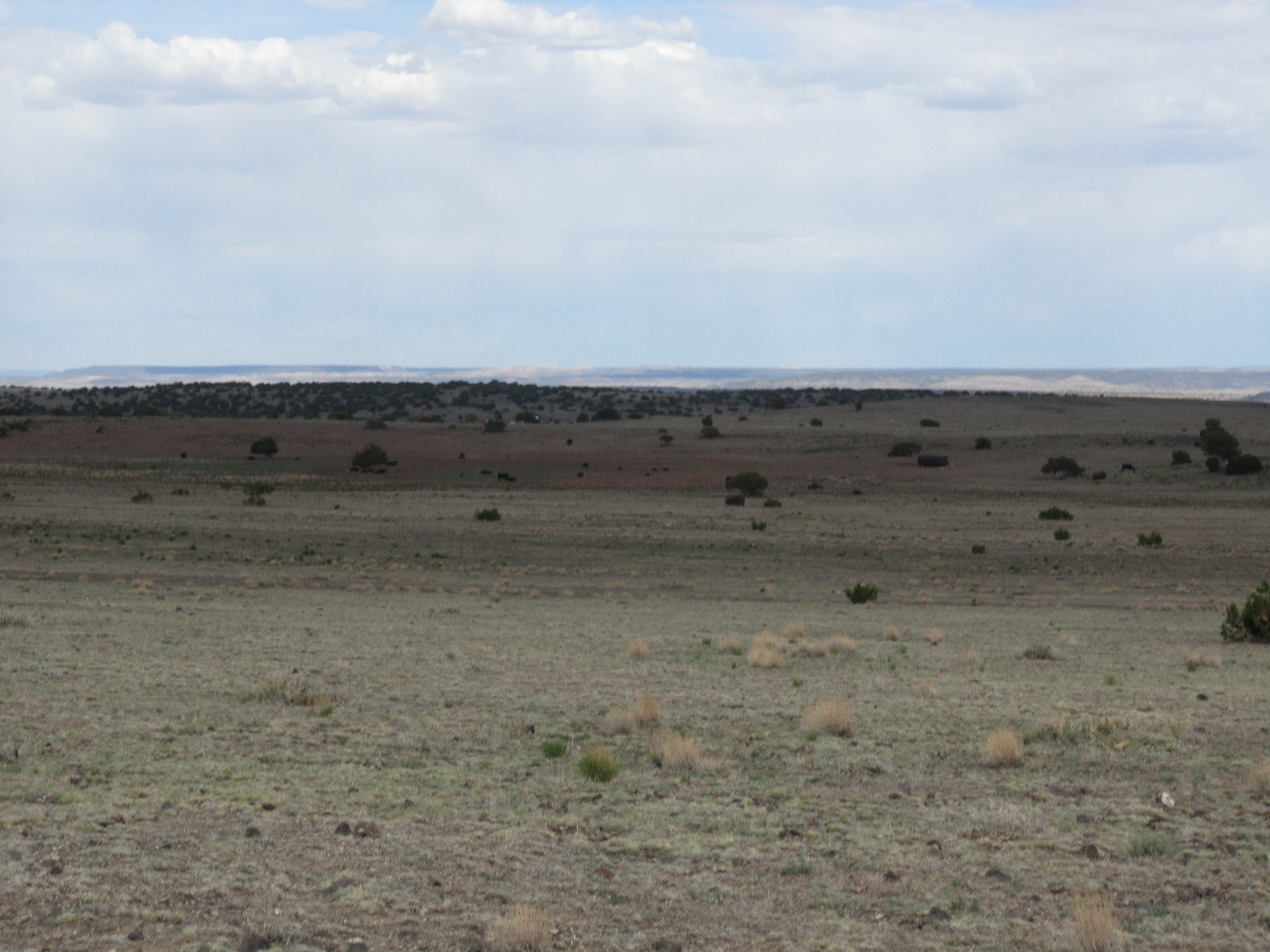 1.03 Acres for sale in Apache County, AZ – Just outside the small town of Concho!