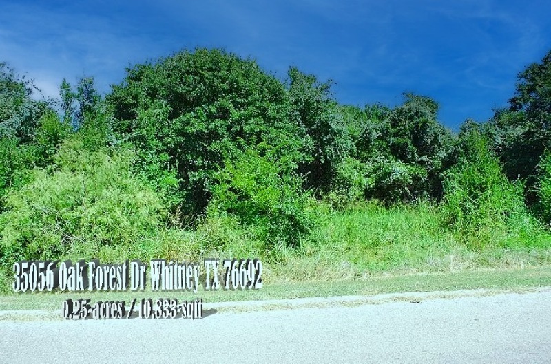 Little Lot With Lots Of Potential in White Bluff - 35056 Oak Forest Dr Whitney TX 76692