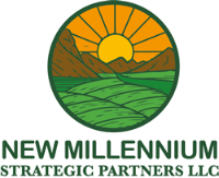 Land Investors New Millennium Strategic Partners LLC in  