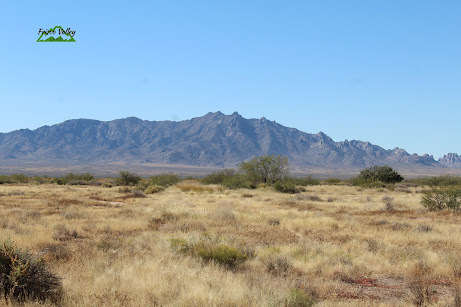 UNDER CONTRACT: Score BIG With 2 Acres in NM-$100/MO! (2134)