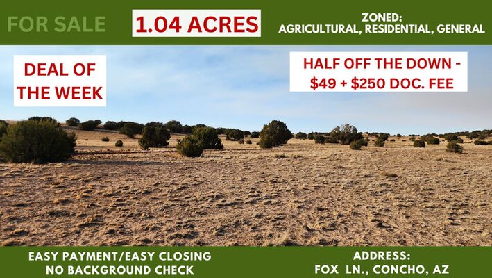 Need a Break from the Road? Your 1.04 acre quiet corner AZ!