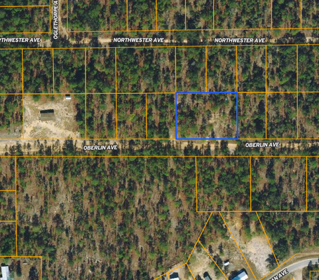 Live the Florida Dream On 0.72 Acres in Clay Florida!