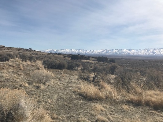 Ruby Mountain Views Every Day! Corner Lot - Two Acres North of Spring Creek!!