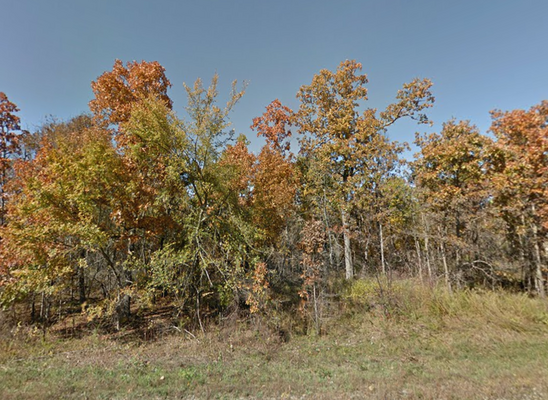 0.32 Acre Property Near Crown Lake! $99/Mo.