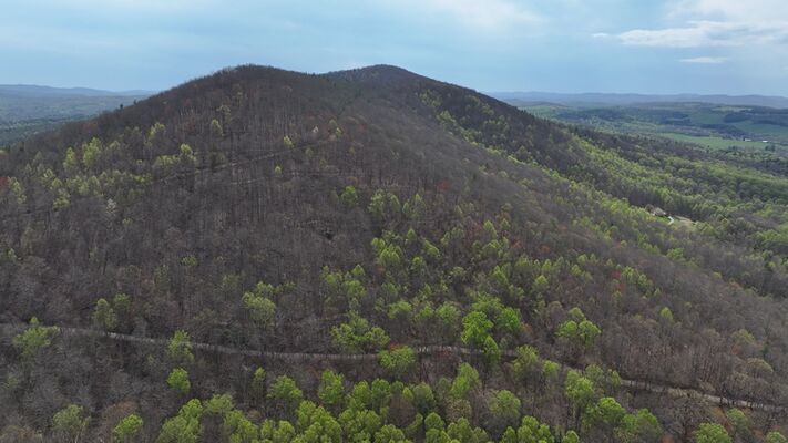 More than 20 acres in Floyd County Virginia!