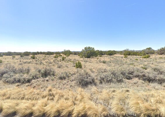 1.25 Acres in Saint Johns, Arizona (only $200 a month)